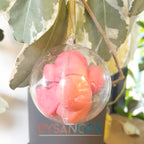 Boule de Noël fondants senteur de Noël Baie givré