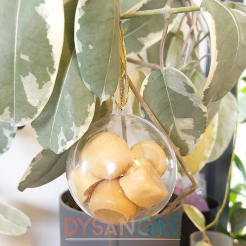 Boule de Noël fondants senteur de Noël chocolat noisette