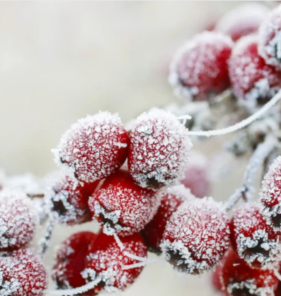 Bougie colorée parfums Fruités "nombreux parfums disponible" By Solaveyra