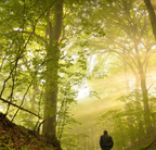 Bougie parfums senteur Balade en forêt " By Solaveyra "