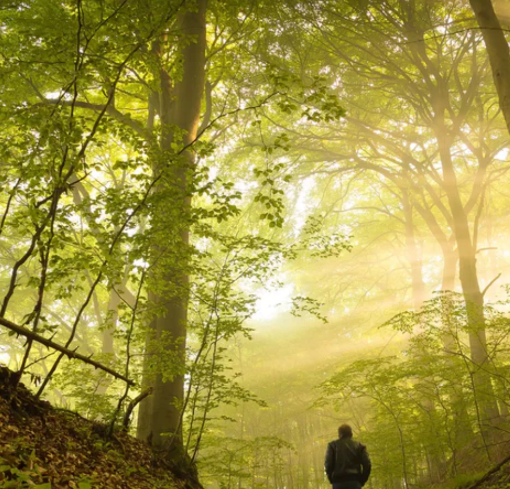Bougie parfums senteur Balade en forêt " By Solaveyra "