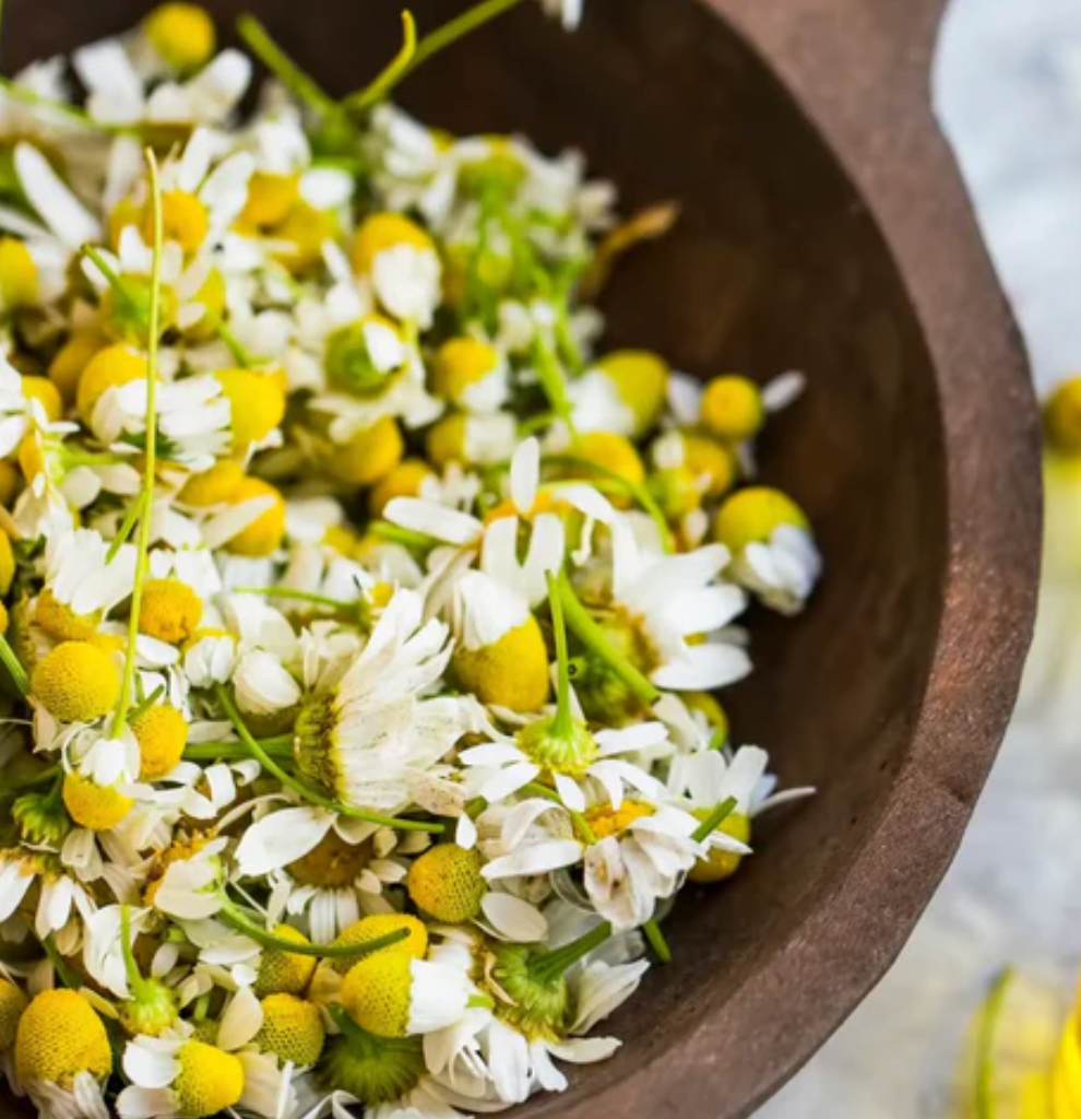 Fiole de parfum senteur fleuris "nombreux parfums disponible" By Solaveyra