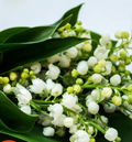 Bougie parfums senteur Muguet" By Solaveyra "