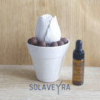 Diffuseur en platre Tulipe