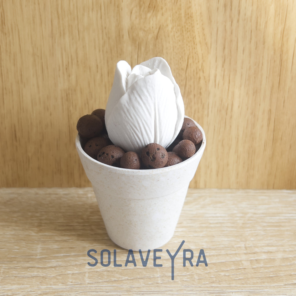 Diffuseur en platre Tulipe