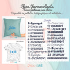 Flexs thermocollant prénom avec typographie aux choix thème fantaisie